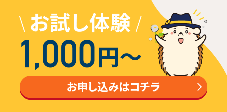 お試し体験1,000円～お申込みはコチラ